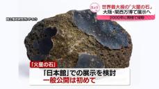 世界最大級の「火星の石」大阪・関西万博で展示へ