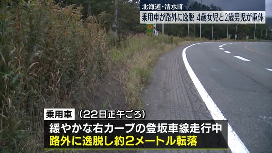 乗用車が路外に逸脱…4歳女児と2歳男児が重体　北海道・清水町