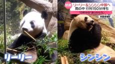 パンダのリーリー＆シンシンに「13年分のありがとう」　29日に中国へ返還　東京・上野動物園