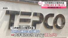 10月使用分の電気料金　大手電力会社全てで値上がり　政府補助金の縮小で