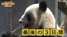 上野動物園リーリー＆シンシンふるさと中国へ…パンダファン最後の別れに密着【バンキシャ！】