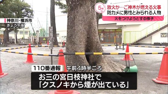 ご神木燃える火事　防カメに火つけようとする様子…放火か　横浜市