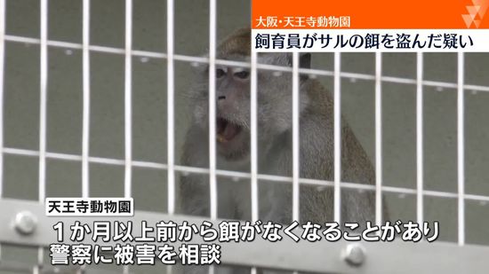 大阪･天王寺動物園 　飼育員がサルの餌を盗んだか