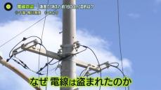 漁港で約1600ｍ分の電線窃盗…被害額は400万円相当　目的は？　千葉・鴨川市