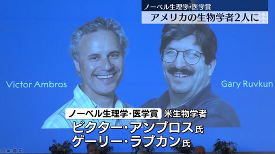 ノーベル生理学・医学賞、米生物学者2人に　「マイクロRNA」を発見