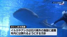 「のとじま水族館」ジンベエザメの展示9か月ぶりに再開　能登半島地震で被災