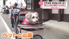 愛犬と一緒に旅行　広がるペットツーリズム