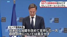 ゼレンスキー大統領とNATO事務総長が共同会見　ウクライナ側が求めるNATO即時招待には言及せず