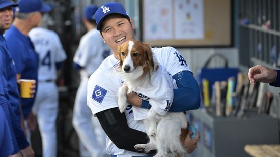 公私ともに大人気の愛犬・デコピン　ワールドシリーズ前日会見でも質問が　大谷翔平「体調が良ければ来ると思う」