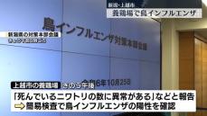 養鶏場で鳥インフルエンザ確認、今シーズン全国で3例目　新潟・上越市