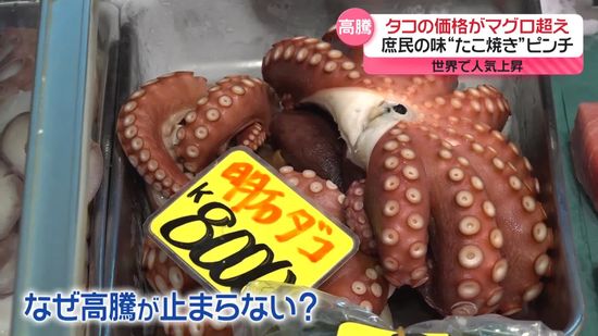 タコの価格が高騰…マグロ超えも　庶民の味“たこ焼き”がピンチ