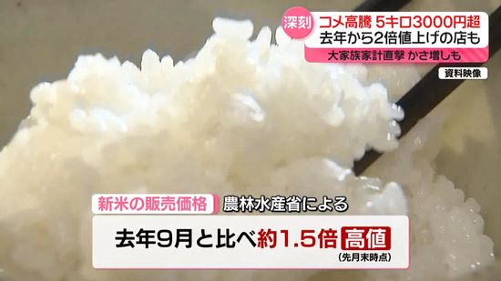 「ブローカーのような業者に」品薄解消してもコメ高値続くワケ…5キロ3000円超が当たり前に？