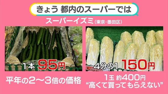 「鍋野菜」が高い！…キャベツ2倍、白菜1.47倍　いつまで？“お手頃野菜”使ったおススメ料理【#みんなのギモン】