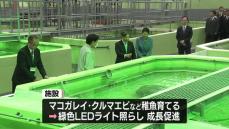 天皇皇后両陛下が大分県を訪問　種苗生産施設を視察、稚魚育てる水槽で餌やりも