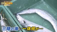 桝が三陸の海へ　世界で最も海面水温が上昇　高級食材に異変も【バンキシャ！】