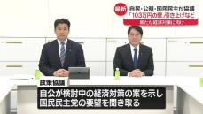 自民・公明・国民民主、新たな経済対策に向け協議