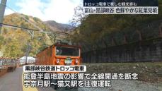 富山・黒部峡谷で色鮮やかな紅葉見頃　トロッコ電車で楽しむ観光客も