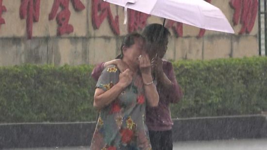 中国・広東省“生活に不満抱える人”の管理強化へ…35人死亡の車暴走事件受け　香港メディア