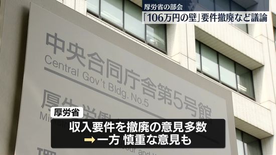 「106万円の壁」要件撤廃など…厚労省の部会で議論