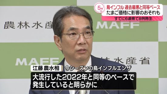 鳥インフル“最悪の年とほぼ同じペース”　たまご価格に影響のおそれも