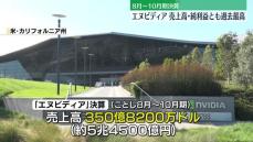 エヌビディア　8〜10月期決算　売上高と純利益が過去最高更新