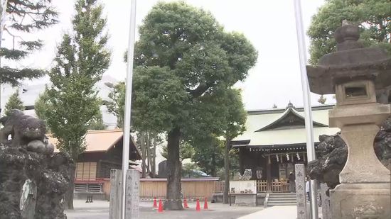 神社のクスノキに火つけた疑い　無職の男（59）逮捕　神奈川県警