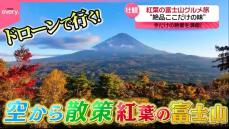 絶景ドローンで行く！紅葉の富士山グルメ旅『every.特集』