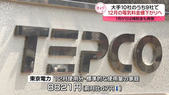 12月の電気代、大手9社で値下げへ　1月からは補助金も再開