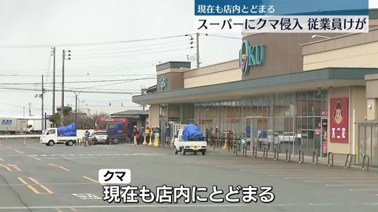 秋田市のスーパーにクマ侵入　男性従業員襲われけが　クマは店内にとどまる