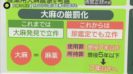 大麻「使用」も禁止に…改正法が施行、医療分野では認可も　“法の抜け穴”存在ナゼ　「ゲートウエードラッグ」でもカジュアル化？