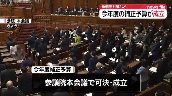 今年度の補正予算　参議院本会議で可決・成立