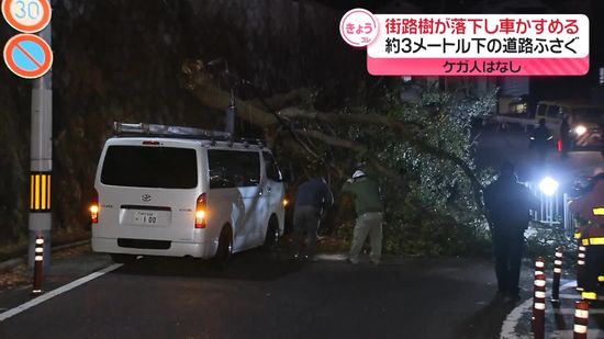 街路樹が落下…車かすめ、道路ふさぐ　神戸市