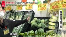 キャベツ“3倍”に高騰……スーパー「378円でも赤字」、茨城で“泥棒”続発　スルメイカも激減　背景に猛暑・海水温の変化？