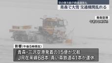 青森で大雪、空の便欠航や鉄道運休が相次ぐ　青森空港では一時停電も