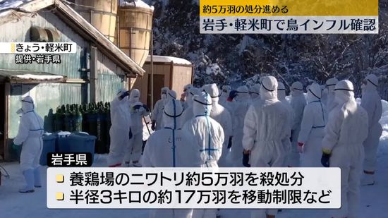 岩手・軽米町の養鶏場で鳥インフル　約5万羽を殺処分へ