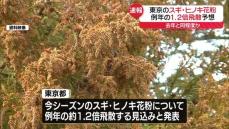 スギなどの花粉は例年の1.2倍程度か　都内の飛散見通しを発表　東京都