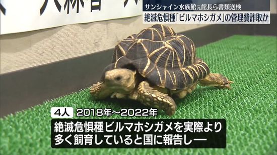 絶滅危惧種のカメの管理費詐取か　サンシャイン水族館元館長ら書類送検