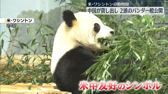 中国が貸し出し…2頭のパンダ一般公開　米ワシントンの動物園