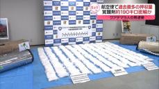 覚醒剤約190キロ密輸しようとしたか　グアテマラ国籍の男を逮捕　航空便で過去最多量