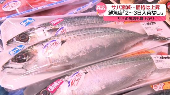 サバ激減…漁獲量が数年で半分に　「仕入れられない」鮮魚店悲鳴　メニュー変更余儀なくされる飲食店も