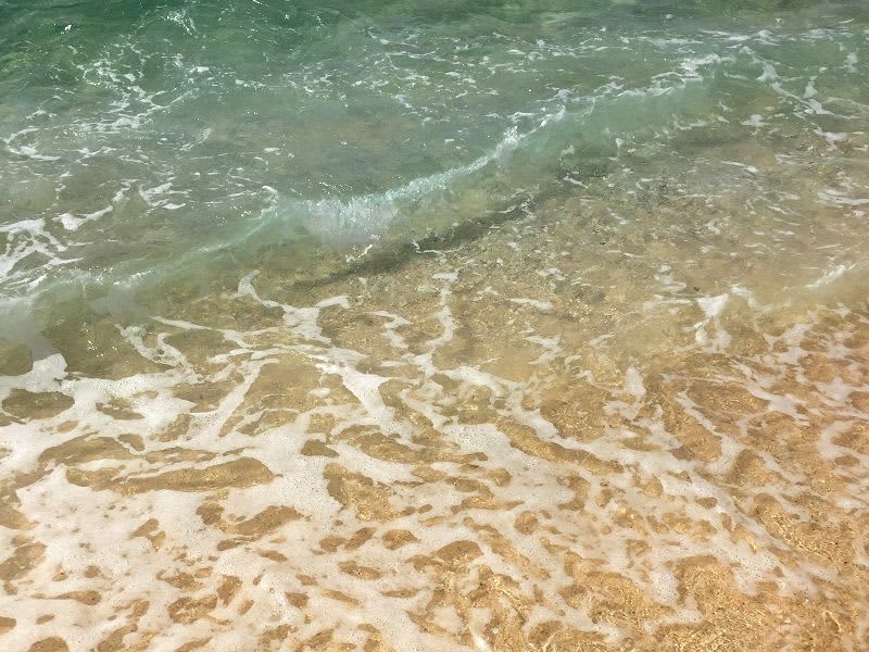 ダイビング中に女性が意識不明　搬送後に死亡　沖縄