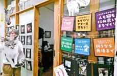 「いつもそばにいる存在だった…」　まちぐゎーのアイドル猫「たけし」　写真展で生前しのぶ　沖縄・那覇市