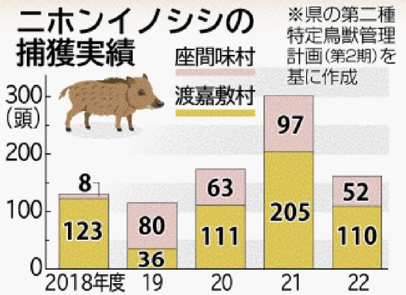 希少なサワガニやウミガメの卵も食べるイノシシ　沖縄・慶良間諸島で根絶へ　警戒心が強く夜に行動　捕獲方法が課題に