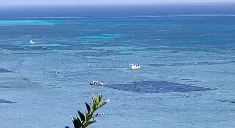 津波警報に多くの漁師が気付かず　台湾地震発生時の宮古島　ヘリから情報伝達求める声