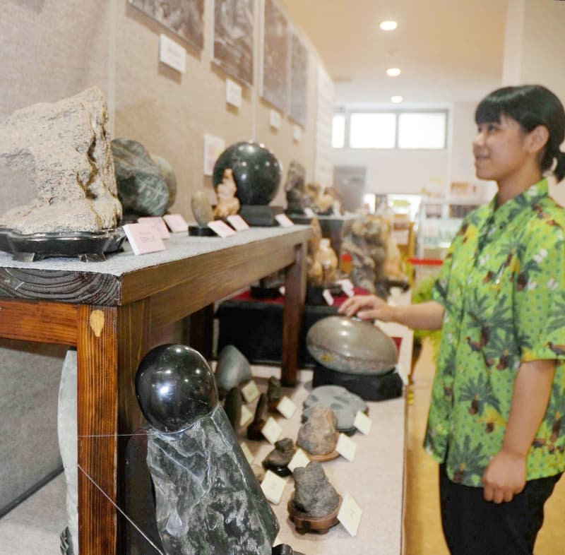 めったに見ることのない岩石も　国頭村で企画展、盆石60点を展示　沖縄