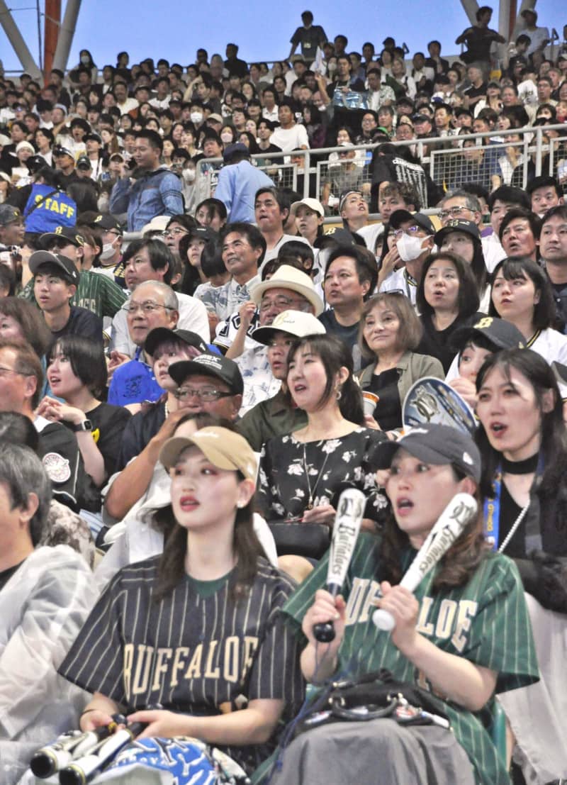 「雰囲気を味わえた」　沖縄でプロ野球の公式戦　セルラースタジアムに1万7508人