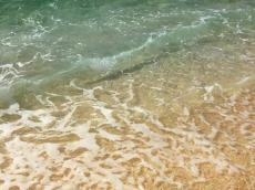 「別々に泳いでいた友人が戻ってこない」と通報　恩納村のビーチ沖合、40代男性が行方不明　沖縄