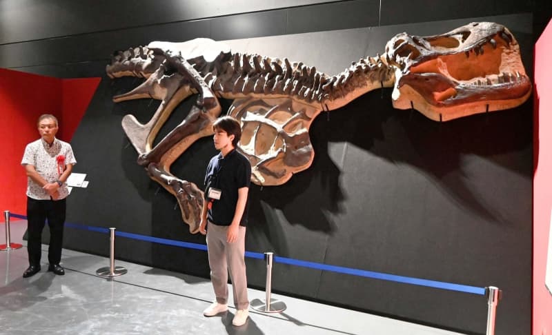 恐竜の化石やロボットがずらり40点「大人から子どもまで楽しんで」　タッチザダイナソー展、沖縄県立博物館であす14日から