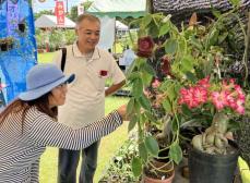 色鮮やかな草花、熱帯果樹など「毎回楽しみ」 秋の大植木市、沖縄市登川で始まる　10月27日まで