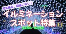 クリスマスや年末年始、どこ行く？　沖縄で「映え」間違いなしのイルミネーションスポット